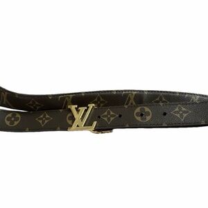 Louis Vuitton brown and gold Checkered Belt